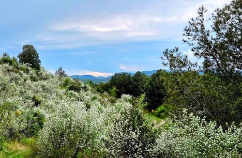Quillan House | Evasion en pays Cathare