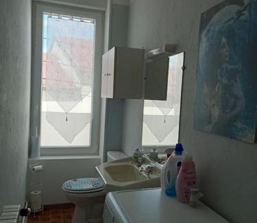Vigneulles-les-Hattonchatel Apartment | F2 1ER ETAGE - 5 min du Lac de Madine