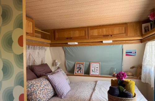 Roquefort-les-Cascades House | Gîte Aurinko : caravane avec bain nordique