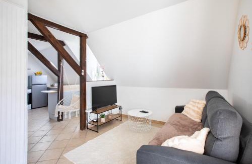Ingersheim Apartment | Gîte Bretzel et Grappe