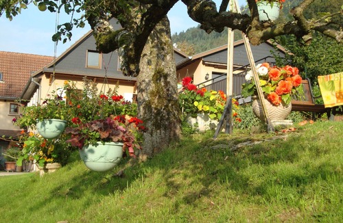 Sainte-Marie-aux-Mines House | Gîte chez Jean-Pierre " LES HIRONDELLES" F2- 100€ for1 night (2nights min)