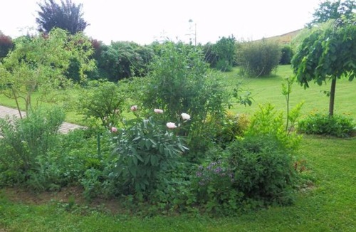 Lironcourt House | Gîte de Charme avec Terrasse près de Bourbonne-les-Bains, 2 chambres, poêle à bois, Wifi inclus - FR-1-589-118