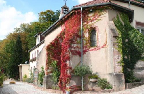 Saint-Die House | Gîte de charme pour 2 pers., terrasse, forêt à proximité, tout confort, Saint-Dié-des-Vosges - FR-1-589-209