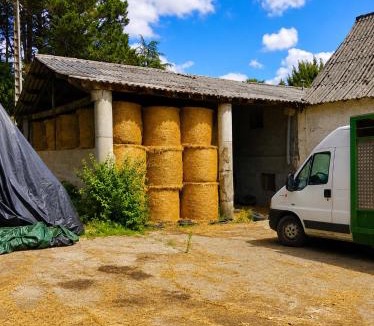 Lys House | Gîte de la Fontaine - Vallée d'Ossau