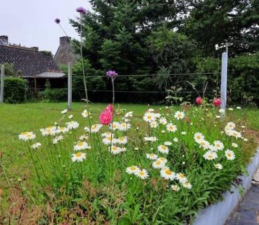 Neant-sur-Yvel House | Gîte des 4 saisons en Brocéliande