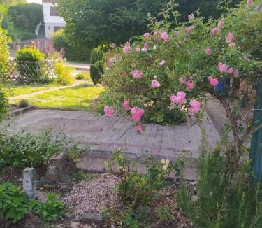 Muhlbach-sur-Bruche Apartment | Gîte du Rocher du faucon le renardeau 4 à 5 personnes