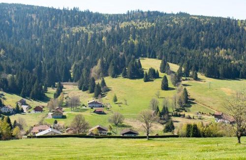Le Grand Valtin Apartment | Gîte Jonquille - La Petite Meurthe