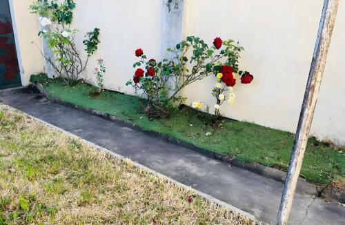 Saint-Florentin Apartment | Gîte Le Flot