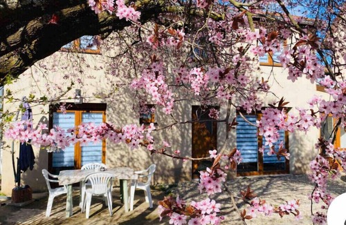 Chatenois House | Gîte Magnolia châtenois (detached house 80 m2 with private garden)