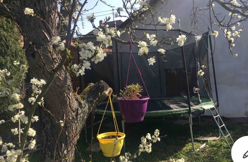 Chatenois House | Gîte Magnolia châtenois (detached house 80 m2 with private garden)