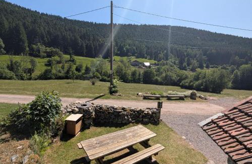 Fraize House | Gîte nature avec animaux admis - 6 pers. - FR-1-589-869