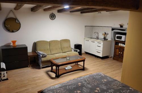 Bar-sur-Aube Apartment | Gîte Studio Alex 3 Masson de Morfontaine rez de chaussé