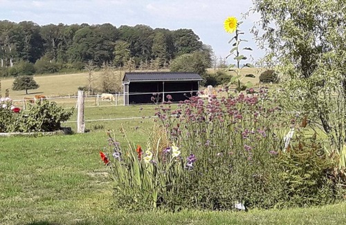 Claudon House | Gezellig Comfortabel Vakantieverblijf, Rustige Omgeving én Huisdiervriendelijk