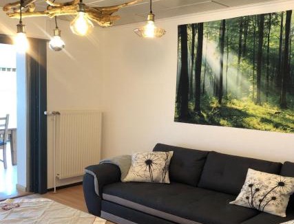 Fraize Villa | Gite des Hauts Jardins