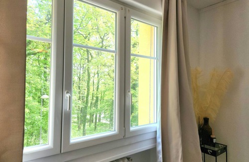 Marange-Silvange Apartment | Gite F3 Le Grand Cerf 2 steps from Amnéville