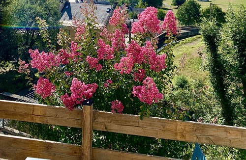 Sazos Apartment | Gite located in the heart of the Luz / Gavarnie / Lourdes valley