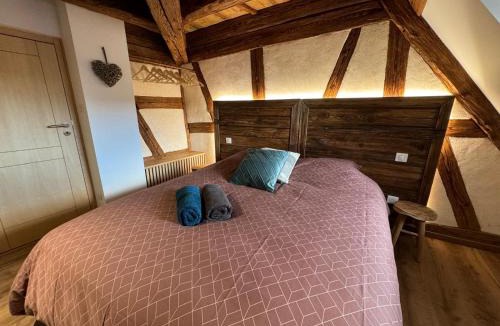 Dambach-la-Ville Apartment | Gite premium, au Cœur de l'Ours