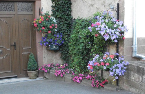 Haselbourg Apartment | Gîte with views of the Vosges Mountains