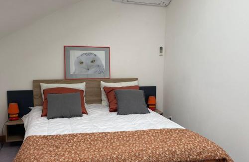 Socourt Apartment | Grand Loft avec Billard Netflix et Climatisation