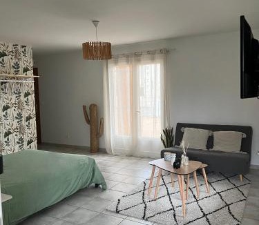Auch Apartment | Grand studio avec véranda et parking