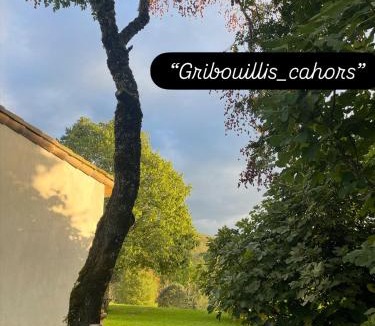 Cahors House | Gribouillis