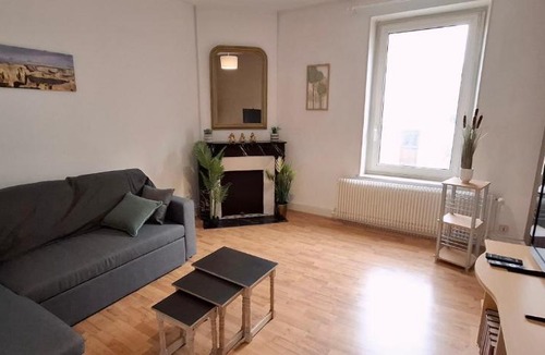 Poincare - Foch - Anatole France - Croix de Bourgogne Apartment | Hôtel des Cousines Anais Appartement 4 personnes Nancy