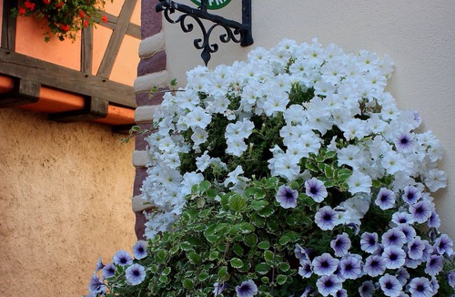 Ammerschwihr Cottage | Historical Alsatian House with Parking in Ammerschwihr