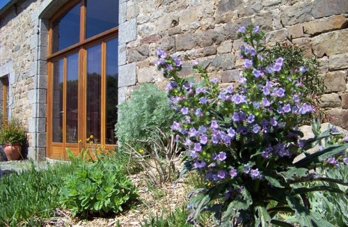 Prat House | Holiday farm; 3 gites & 8 fixed tents, spacious, comfortable, personal
