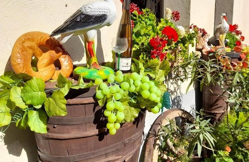 Ingersheim House | Homerez - Amazing house for 4 ppl. with garden and terrace at Ingersheim