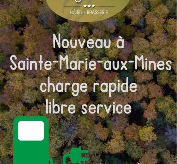 Sainte-Marie-aux-Mines Hotel | Hostellerie Les Bagenelles