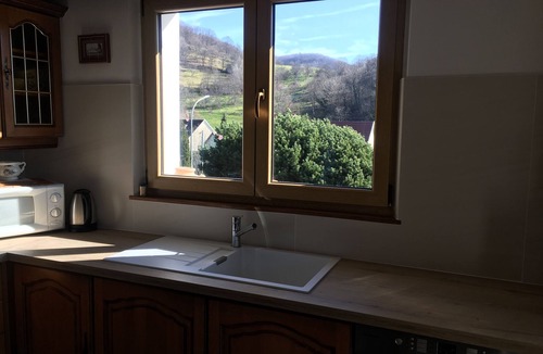 Breitenbach House | House for 7 people on a plot of 3000 m², France (Alsace)