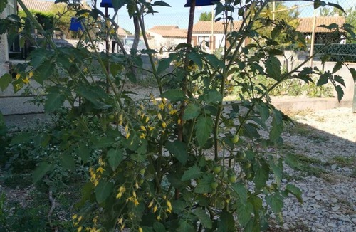 Bezouce House | House near Pont du Gard