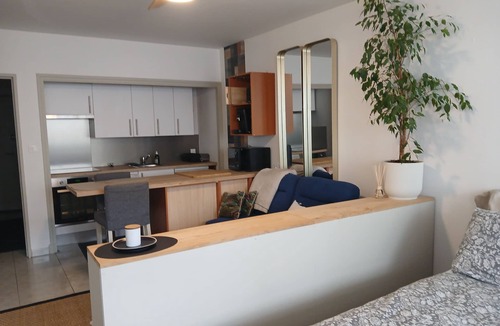 Centre Ville Apartment | In the heart of Pau, 35 m2 studio with closed parking.
