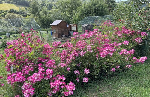 Plouegat-Moysan Cottage | independent house in magnificent restored farmhouse