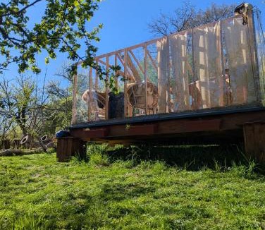 Pagny-sur-Morselle Other | Insolite Cabane du Rêveur
