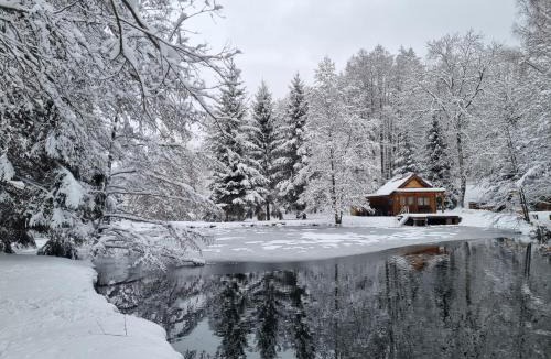 Ban-sur-Meurthe-Clefcy Ski Chalet | Insolite Chalet de pêche Sérénité - Bien Etre