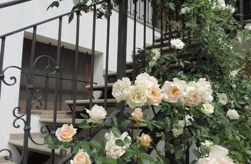Cocconato Apartment | Isolated on hill, flat with private terrace among romanesque art,quiet,nature.