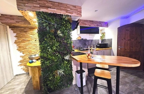 Bergheim Apartment | Jacuzzi relaxation near Colmar