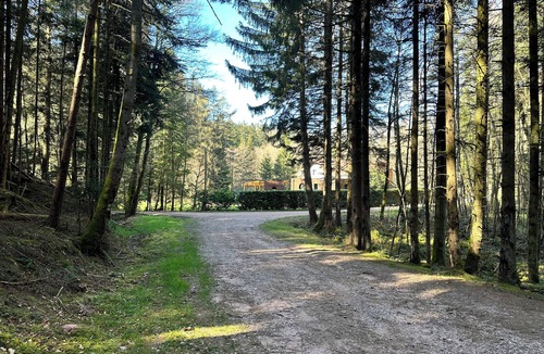 Jeanmenil Villa | L'écrin de la forêt