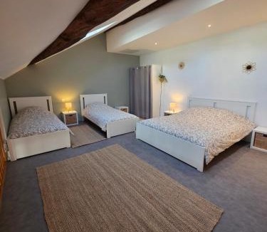 Chaumont Apartment | L'Écrin Historique - Duplex - Vieux Chaumont
