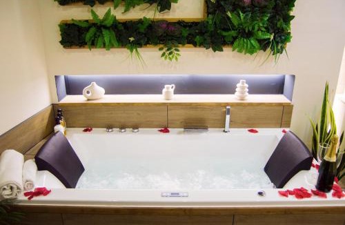 Troyes Apartment | L'atelier vert - SPA, Suite Luxe, Proche Hypercentre - Classé 4 étoiles