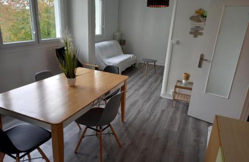 Chalons-en-Champagne Apartment | L'escale champenoise , wifi garage parking privè gratuit
