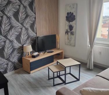Sarrebourg Apartment | L'Europ'appart - Cosy - Gare - Center parcs -St Croix