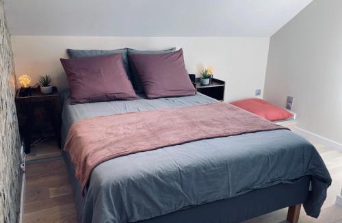 Sainte-Savine House | La bulle des Viennes MAISON CLIMATISEE - CHAMPAGNE