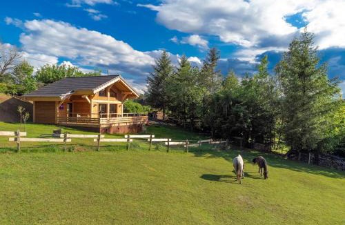 Taintrux Ski Chalet | la cabane aux chevaux