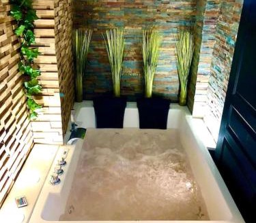 Sens Apartment | La suite romantique Jacuzzi,parking gratuit,centre