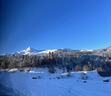 Bielle Apartment | La Suite Unique - Le jardin sur les Pyrénées- vue panoramique montagne -jardin clôturé privé de 100m2-Parking-Linge de lit et serviettes compris-