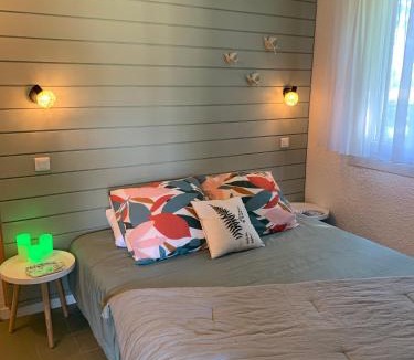 Bielle Apartment | La Suite Unique - Le jardin sur les Pyrénées- vue panoramique montagne -jardin clôturé privé de 100m2-Parking-Linge de lit et serviettes compris-