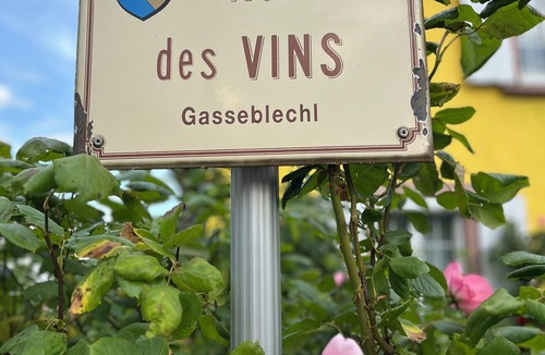 Blienschwiller House | La Terrasse Des Vignes - Maison Centre Alsace on the Wine Route
