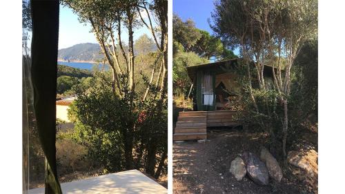 Ile du Levant Apartment | LA TERRASSE DES LAURIERS SUR L'ÎLE DU LEVANT